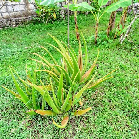 Dekara Cottages Ped Bagian luar foto